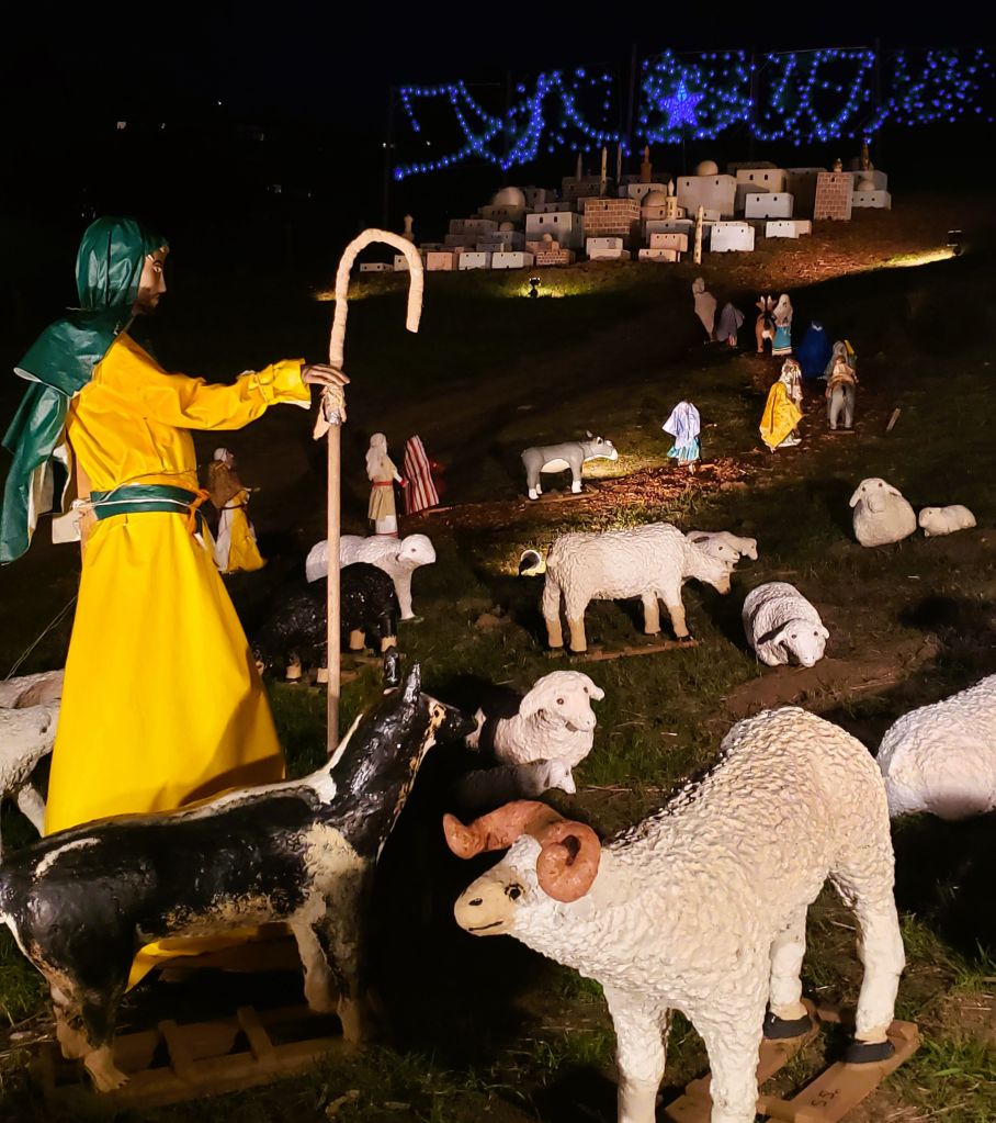 Christmas display at night