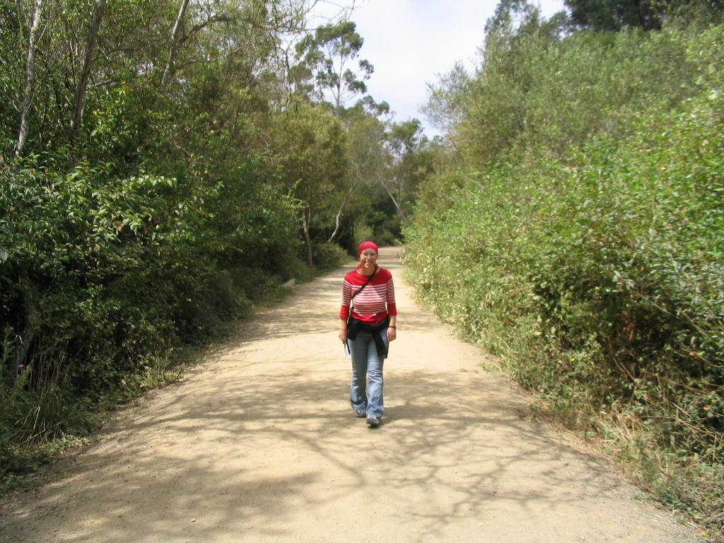 On a trail in Tilden Park