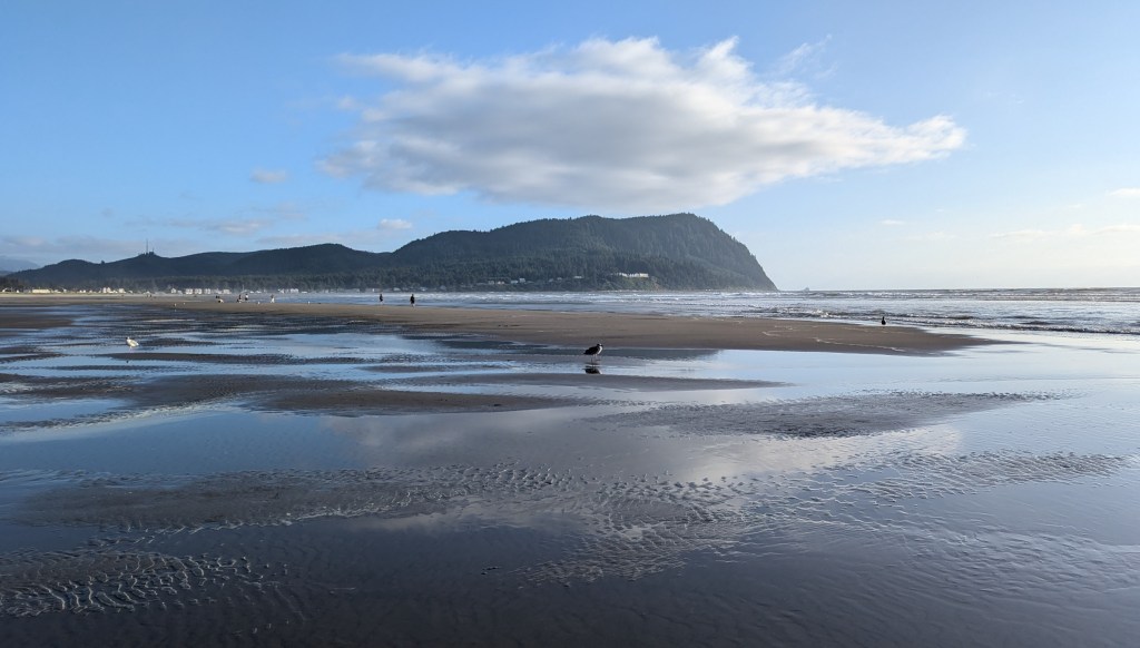 Beach at low tide with view of sea gulls, the ocean and a small mountain in the distance.
