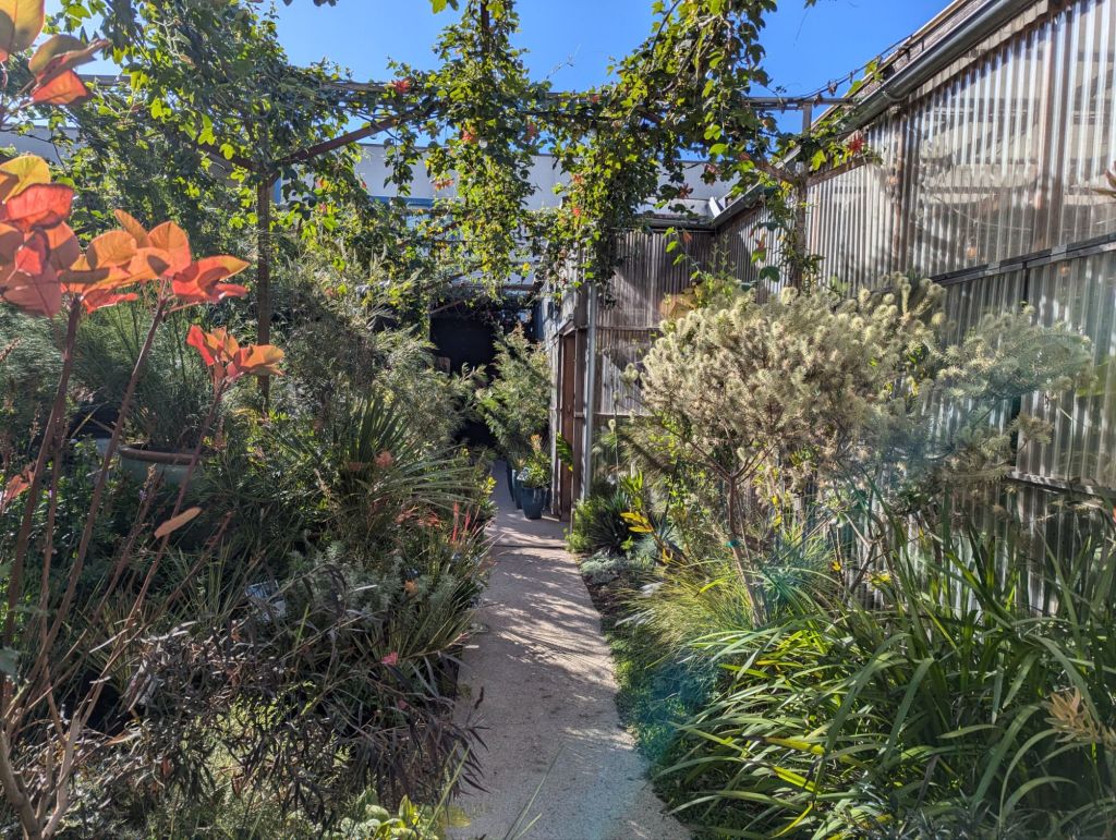 path through the garden shop with plants on both sides