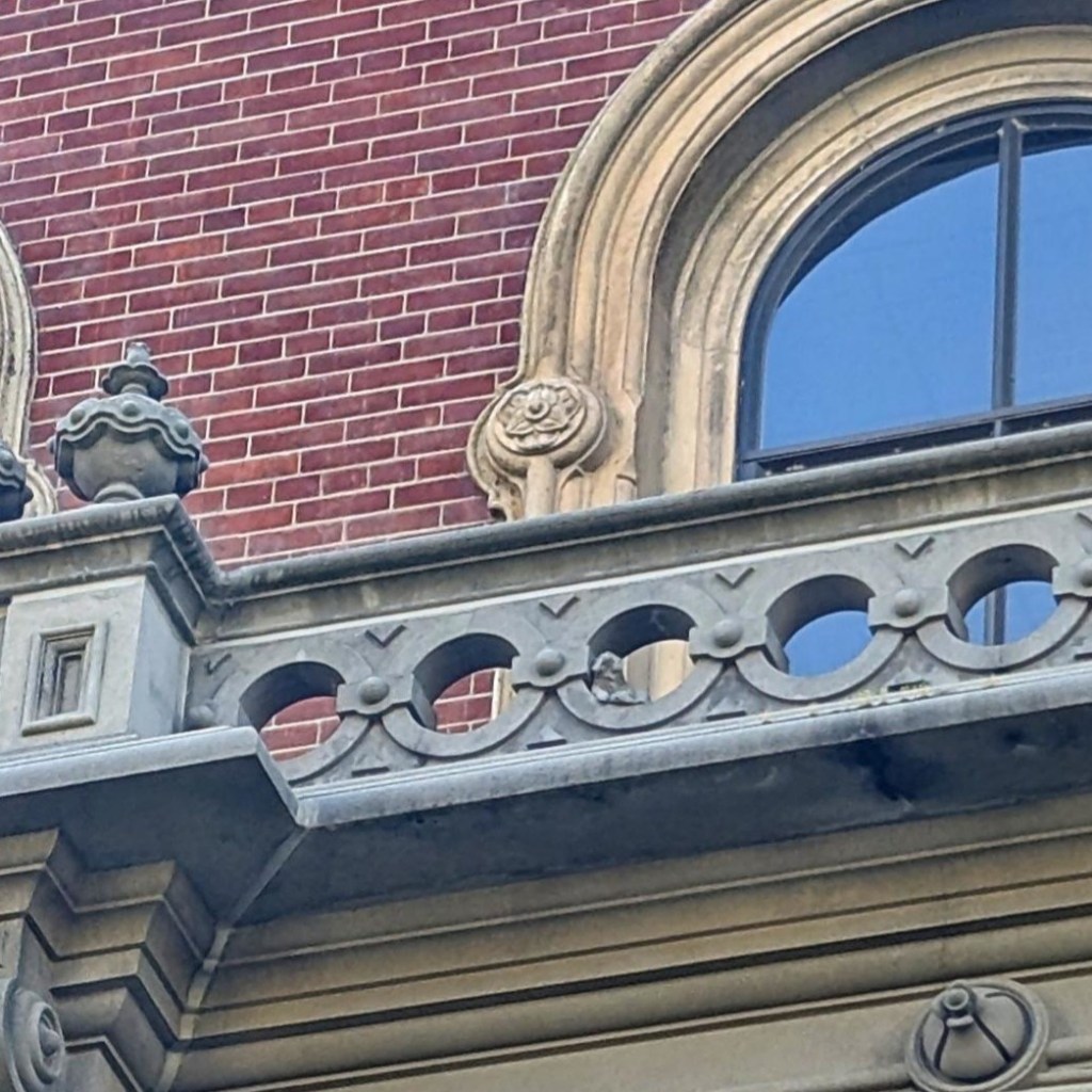 Multiple pictures of bears around the UC Berkeley campus.